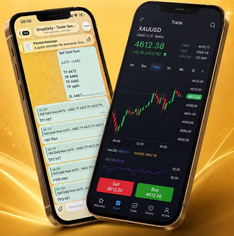 iDropDaily signals on Telegram and XAUUSD chart